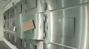 В ЮАР ЖЕНЩИНА ВОСКРЕСЛА В ХОЛОДИЛЬНИКЕ МОРГА