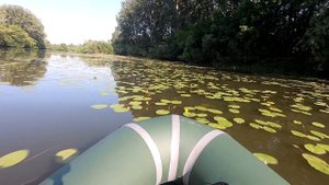 Сплав среди кувшинок. Томь. Кузбасс. Пакрафт ТУНГУС