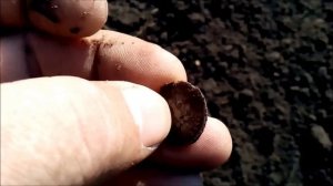 огородники2015