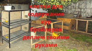 #Клетки для содержания кур, бройлеров делаем своими руками