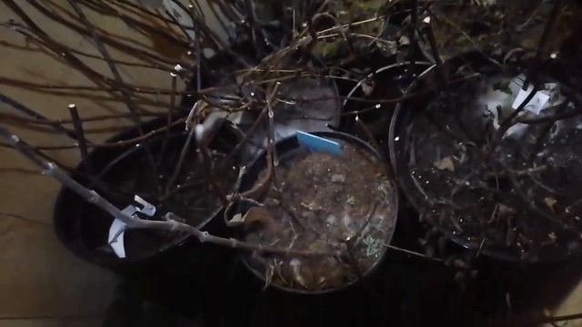 27 января 2024 г. Терпения нет. Кое что подняла из хранилища.... смотреть онлайн