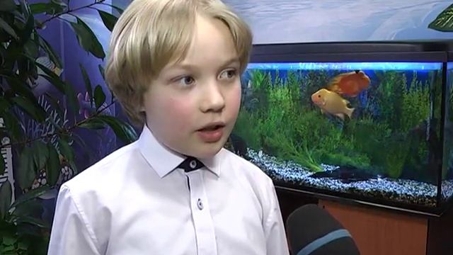 Лес наше богатство смотреть онлайн