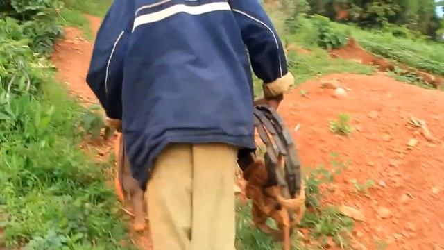 Глаза Отказываются Верить в Существование Этого Необычного Мальчика смотреть онлайн