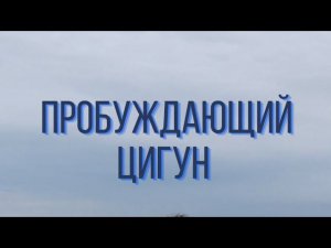 ПРОБУЖДАЮЩИЙ ЦИГУН