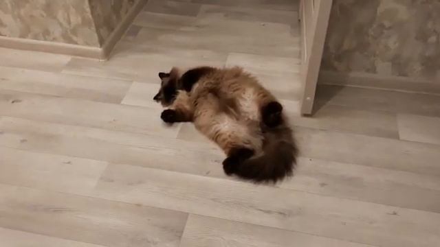 Напилася я пьяна.. смотреть онлайн