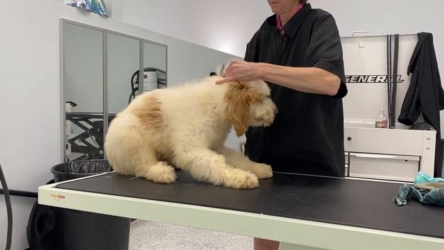 Table work with green bandana boy смотреть онлайн