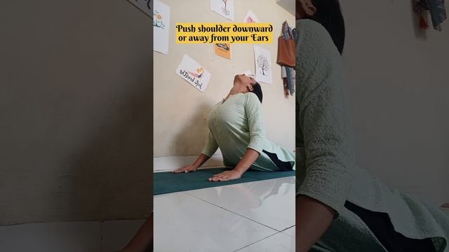 Proper way to do Bhujangasana (cobra pose) #shorts #short #shortvideo