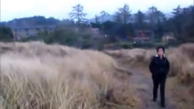 Irelands Rustic Inn Gold Beach Oregon смотреть онлайн