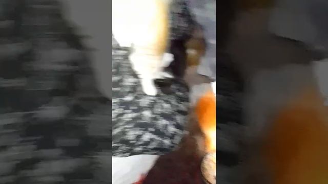 Придумали где играть на сон грядущий. смотреть онлайн