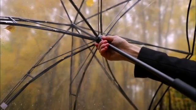 «С улыбкой по жизни хожу» ? Стихи Лидии Тагановой читает Люся Самайда смотреть онлайн