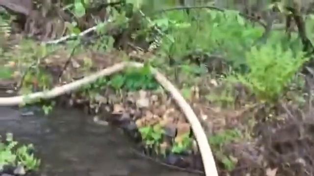 мини драга для золота смотреть онлайн