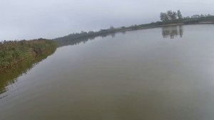 Ловля мотыля.