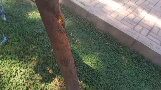 ТУРЦИЯ СТРАНА ПРЕКРАСНОГО И СТРАНА ГДЕ ЦЕНЯТ ПАМЯТЬ И РЕЛИКВИИ ! ПРОГУЛКА ПО ПАРКУ ОЗДИЛЕК смотреть онлайн