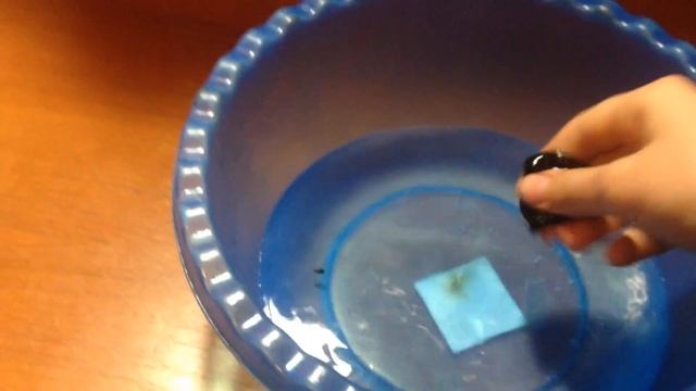 Что будет если окунуть лизуна в тазик с водой смотреть онлайн