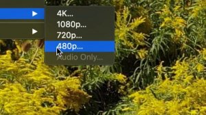 How to Convert Video from 4K to 1080p on Mac | Downsize video Free