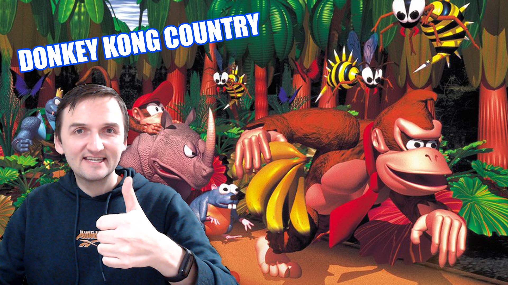Donkey Kong Country 101% Secrets Speedrun