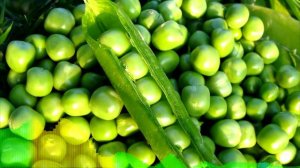 Наутилус Помпилиус - Хлоп-хлоп (Песня про горох) (Right version)