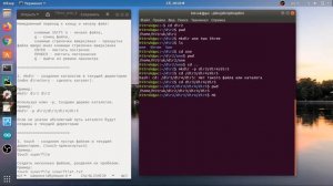 Основы Linux. Урок 2 - Работа с файлами и папками часть 1, на примере ОС UBUNTU 18.04 LTS