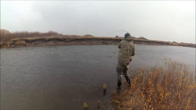 Mongolia 2018 - Amur pike 120 cm, Khalkhyn river fishing expedition смотреть онлайн