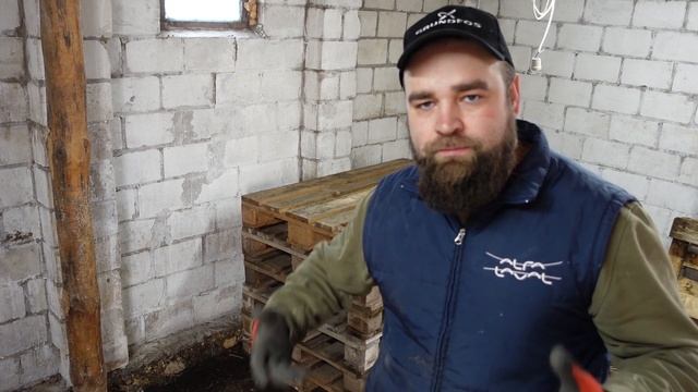 НОВОЕ ПОМЕЩЕНИЕ ДЛЯ ЦЫПЛЯТ. Хозяйство будет расти