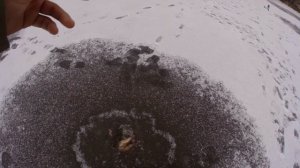 Зимнее блеснение Щучка на Маралистик 25