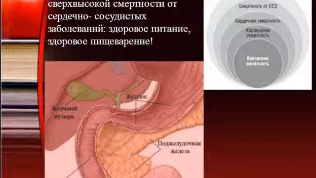 Профилактика желчного пузыря-Шершун О. 4.06.14 смотреть онлайн