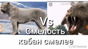 Американский лев против Адский кабан!