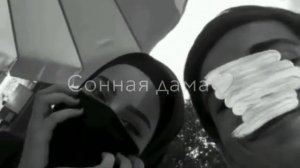 крылья меня несёт..