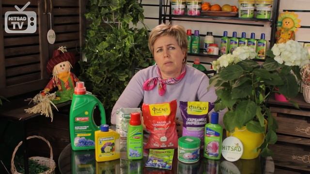ГОРТЕНЗИЯ Как правильно ухаживать * Подкормка для гортензии