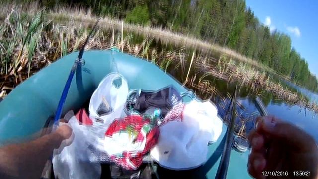 Рыбалка. Клев красноперки. Лайфхак от композитора смотреть онлайн