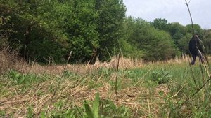 Металокоп на высохшем водоёме ?