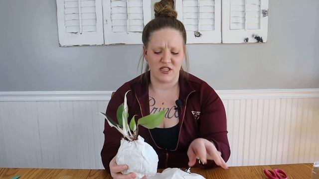 UnBox with ME! ||Philodendron White Knight|| RARE Wishlist Plant UnBoxing! смотреть онлайн