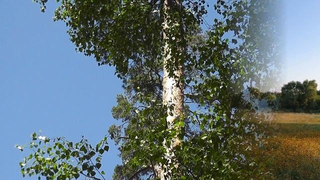 Архангел Гавриил Принять решение в сложной ситуации смотреть онлайн