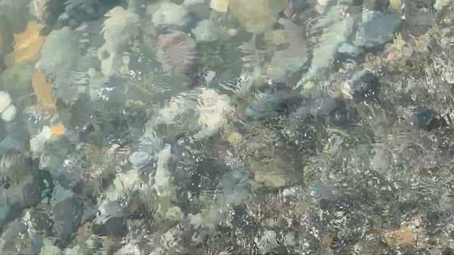 22.09.2023. Погода в Сочи в сентябре. Смотри на Чёрное море каждый день.
