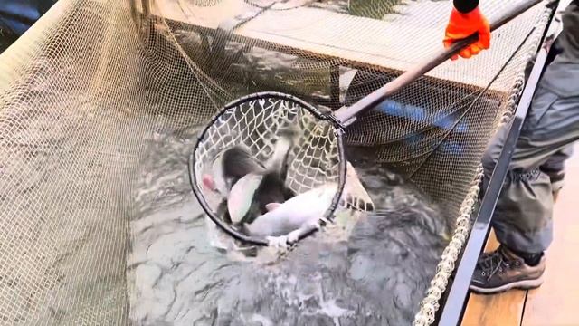 9 октября 2023 г. смотреть онлайн