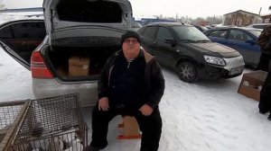 ГОЛУБИ на РЫНКЕ , март 2024 г. АНЖЕРО-СУДЖЕНСК.