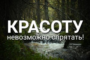 Красоту невозможно спрятать!