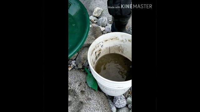 Первое золото сезона. смотреть онлайн