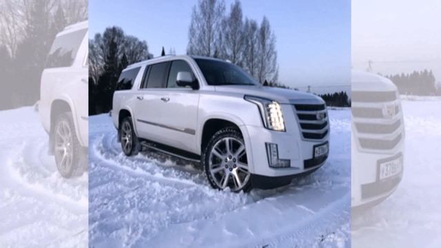 Авито Работа Москва Персональный Водитель (контакты в описании)