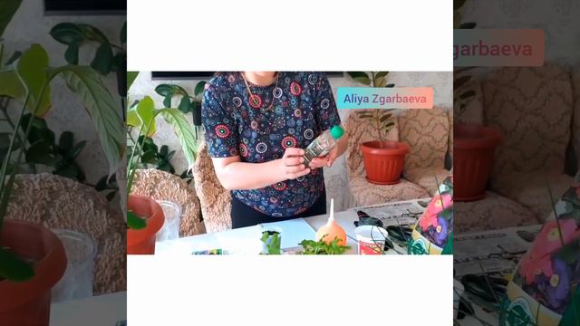 ЛЕГКО И БЫСТРО ПИКИРУЕМ ПЕТУНИЮ , ТЕЗ ЖӘНЕ ОҢАЙ ПЕТУНИЯ ГҮЛІН БӨЛЕМІЗ смотреть онлайн