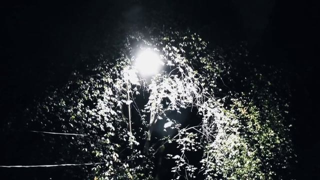 VID_ 20231007 163503 Тот взгляд лучистый, полонив Амора...(Лоренцо Медичи) Павел Васильев Лахтински смотреть онлайн