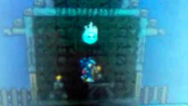 Два предмета терарии. смотреть онлайн