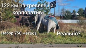 122 км на корпоратив. Беловежская - база отдыха "Иволга"