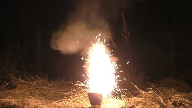 ЧТО БУДЕТ, ЕСЛИ ПОДЖЕЧЬ 1000 БЕНГАЛЬСКИХ ОГНЕЙ! Празднуем 1000 подписчиков