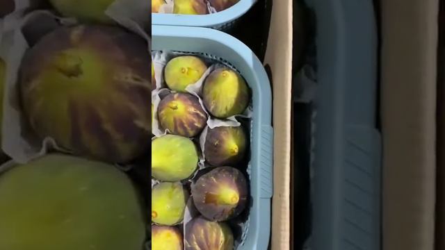 ИНЖИР LORADO НА ФУД СИТИ И ЛЕНИНГРАДСКИЙ РЫНОК МЕСТО 122 КАМРАН FRESH BEST FRESH MARCHENKO МОСКВА