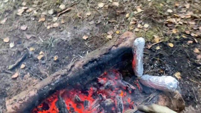 ПОХОД С НОЧЕВКОЙ! Строим навес| кукуруза на углях| ночь у костра| расклин бревна| бушкрафт|выживани смотреть онлайн