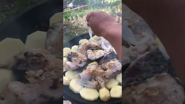 Готовим в садже белого Амура. смотреть онлайн