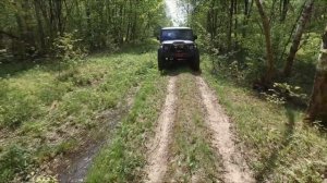 Боровский тракт 2021 Поездка в деревню Кузьминки.