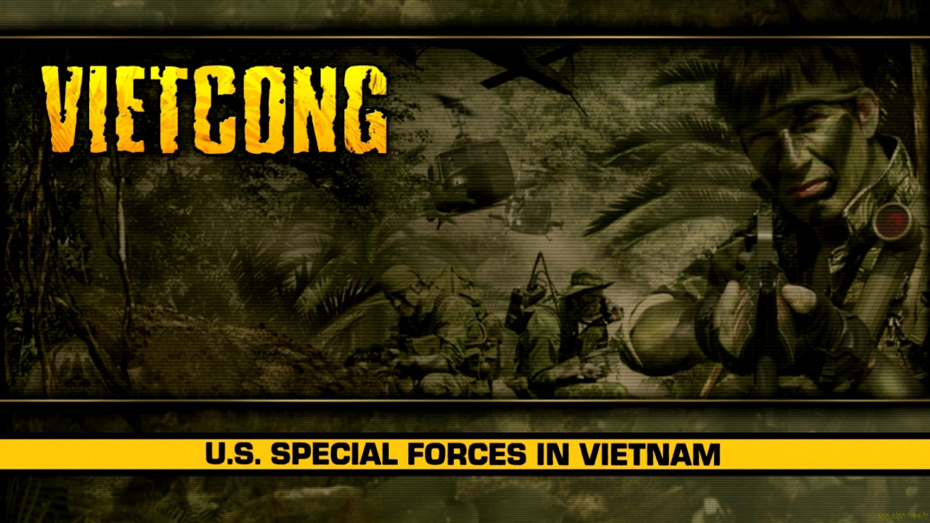 Vietcong #8