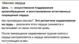 Экстренная реанимационная помощь при неотложных состояниях у собак